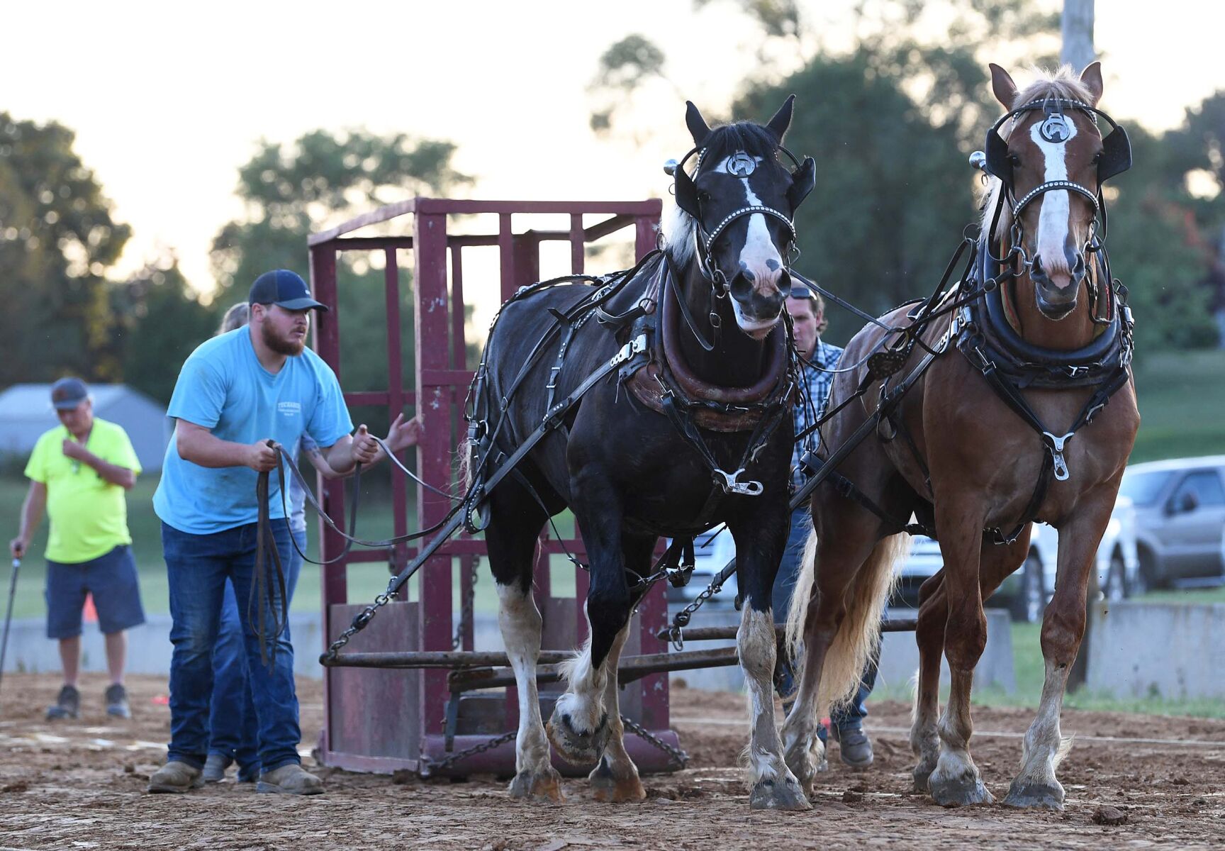 Tirage au sort de chevaux de trait Ag Expo 8.JPG